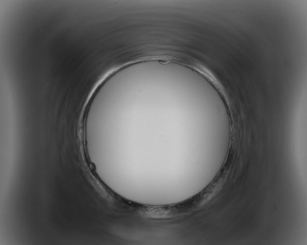 X0000086030907200703230952
