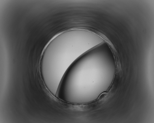X0000086030908200703230952