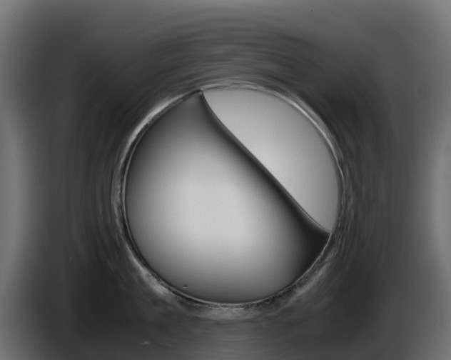 X0000086030909200703230952