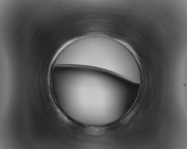 X0000086030910200703230952