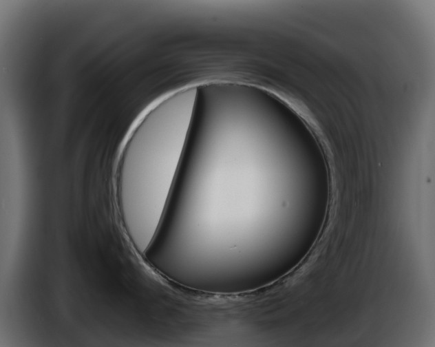X0000086030912200703230952