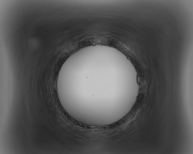 X0000086030913200703230951