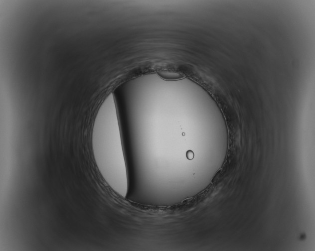 X0000086030914200703230951