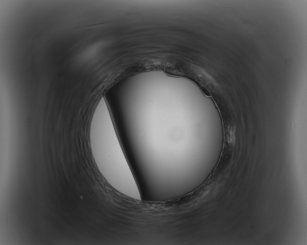 X0000086030915200703230951