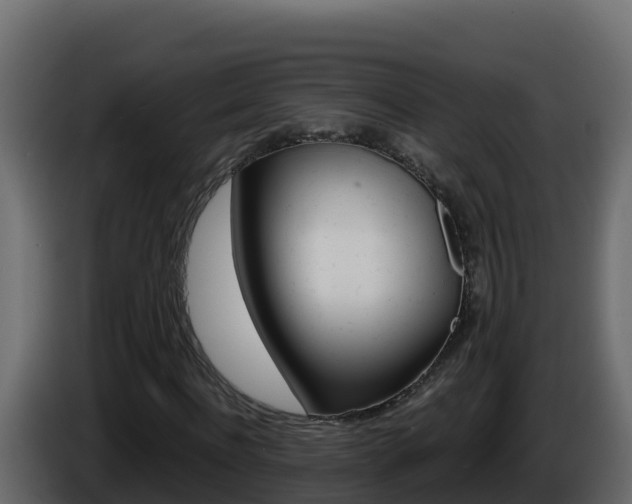 X0000086030916200703230951