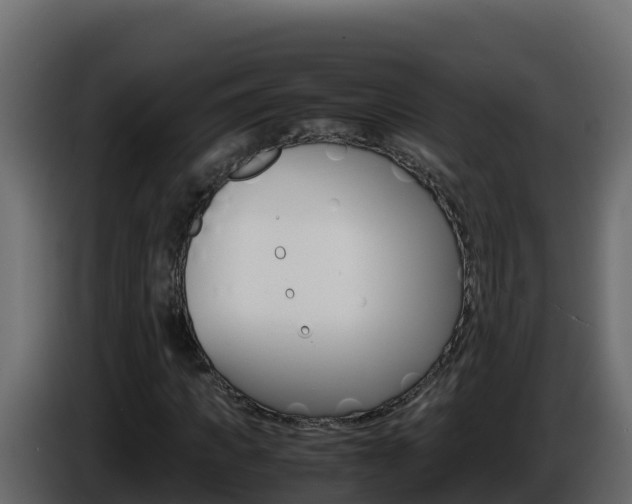 X0000086030917200703230951