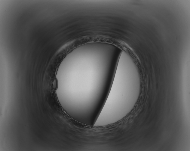 X0000086030919200703230951