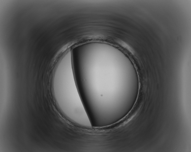 X0000086030922200703230951