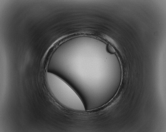X0000086030923200703230951