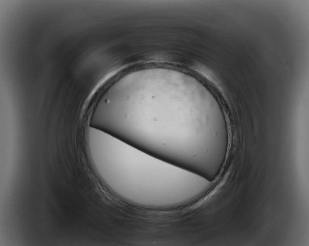 X0000086030925200703230951