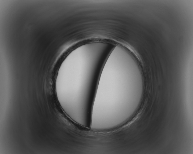 X0000086030926200703230951