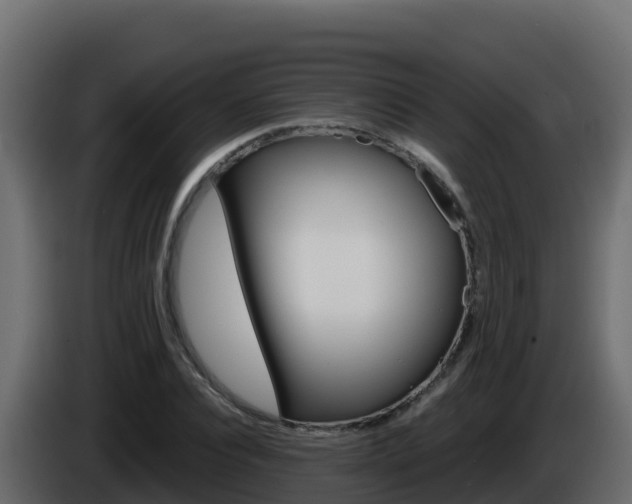 X0000086030928200703230951