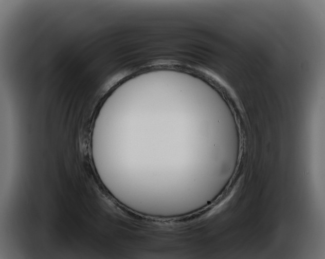 X0000086030929200703230951