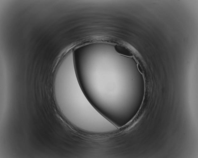 X0000086030930200703230951