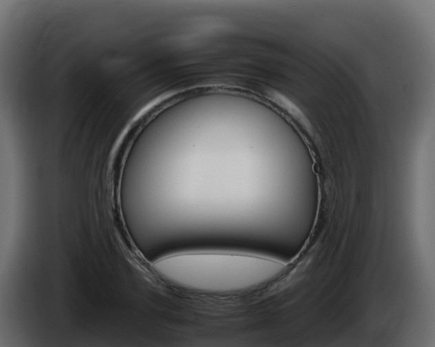 X0000086030931200703230951