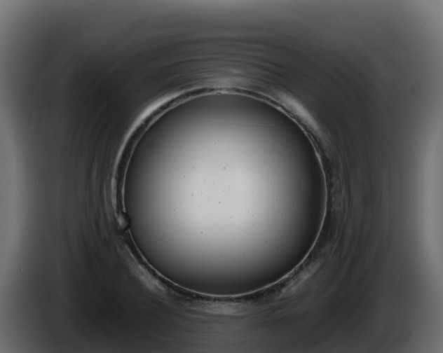 X0000086030932200703230951