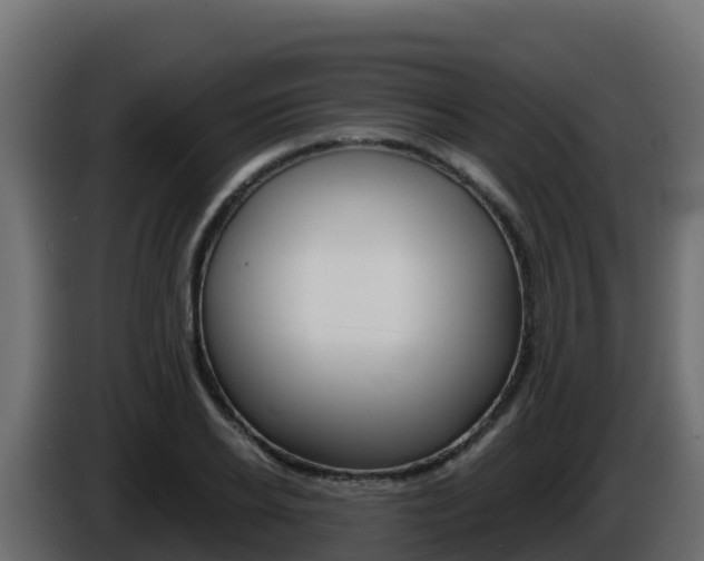 X0000086030934200703230951