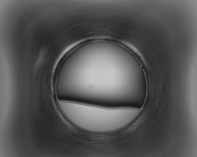 X0000086030935200703230951