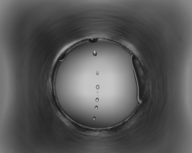 X0000086030936200703230951