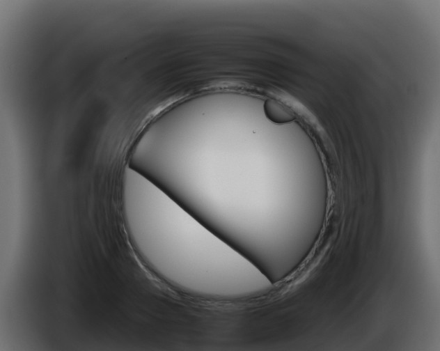 X0000086030937200703230951