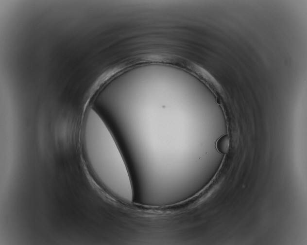 X0000086030938200703230951