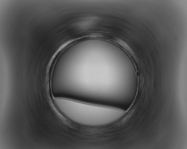X0000086030939200703230951
