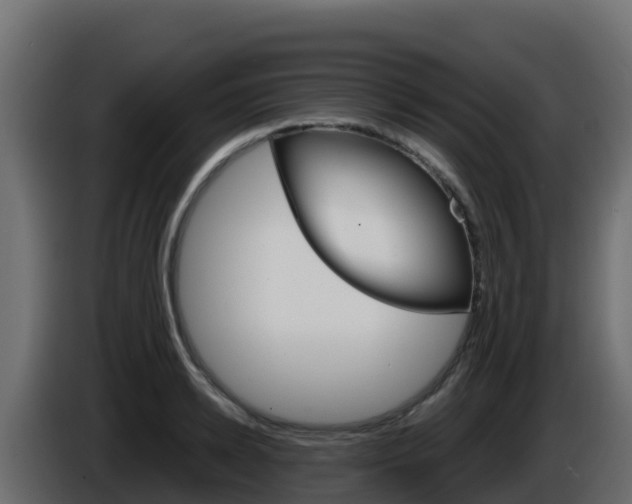 X0000086030942200703230951