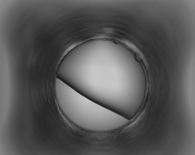X0000086030945200703230951
