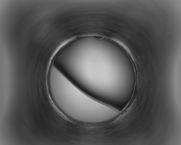 X0000086030949200703230951