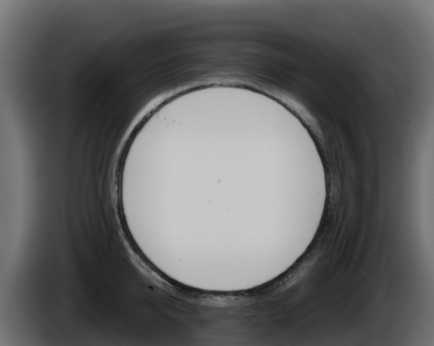 X0000086030950200703230951