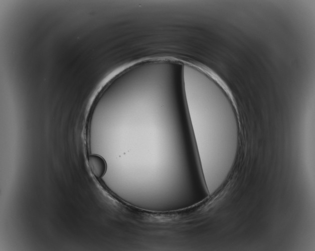 X0000086030951200703230951