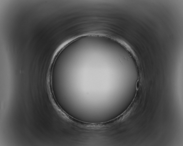 X0000086030952200703230951