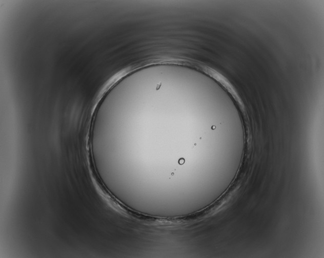 X0000086030954200703230951