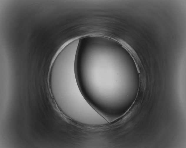 X0000086030956200703230951