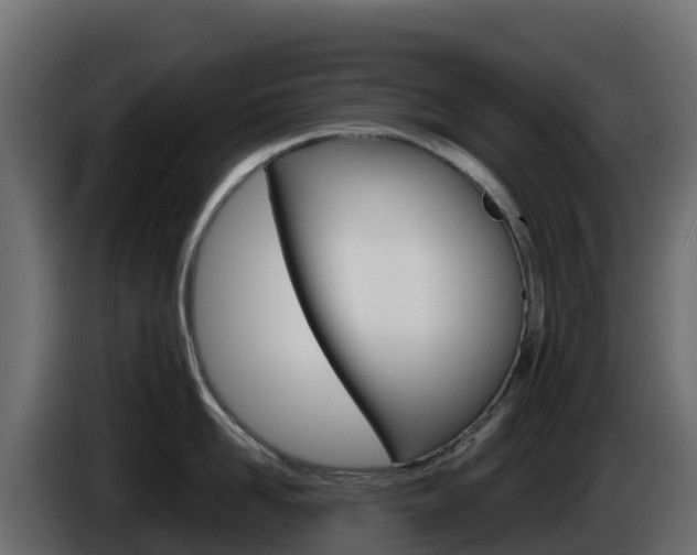 X0000086030958200703230951