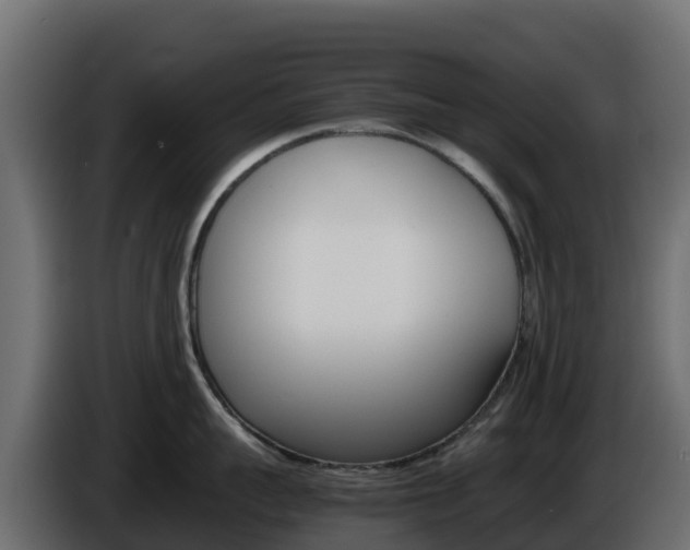 X0000086030959200703230951