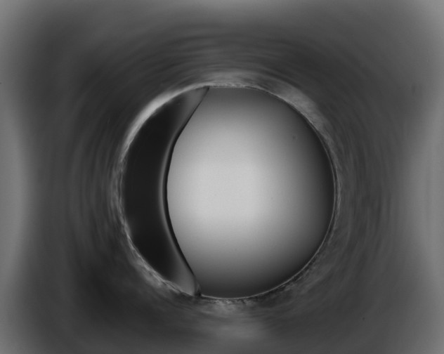 X0000086030960200703230952