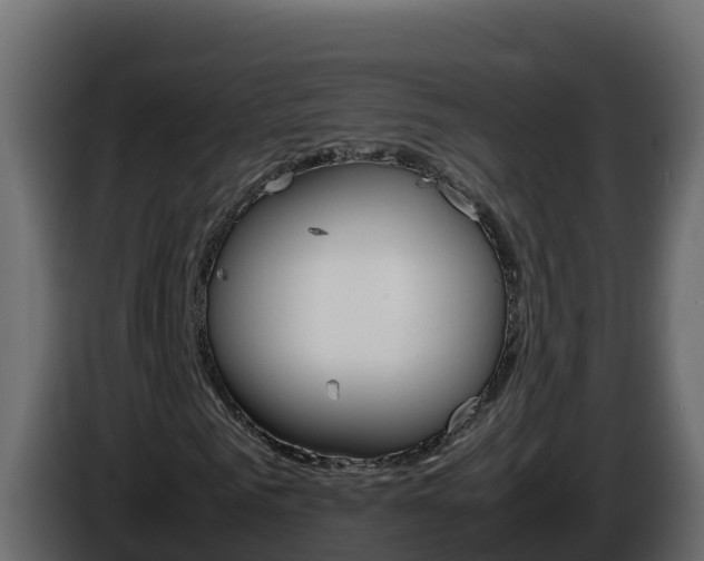 X0000086030961200703230951
