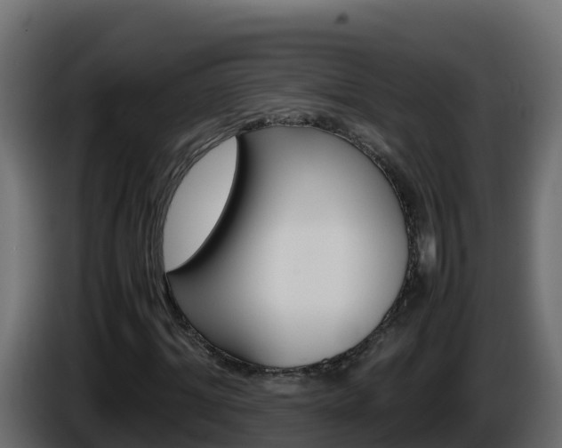 X0000086030964200703230951