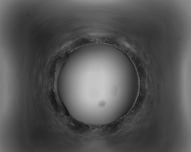 X0000086030965200703230951