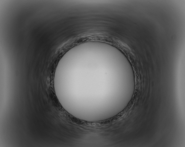 X0000086030966200703230951