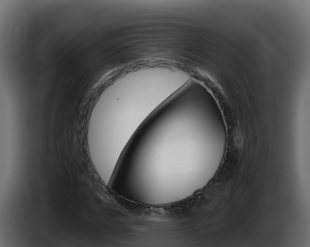 X0000086030968200703230951