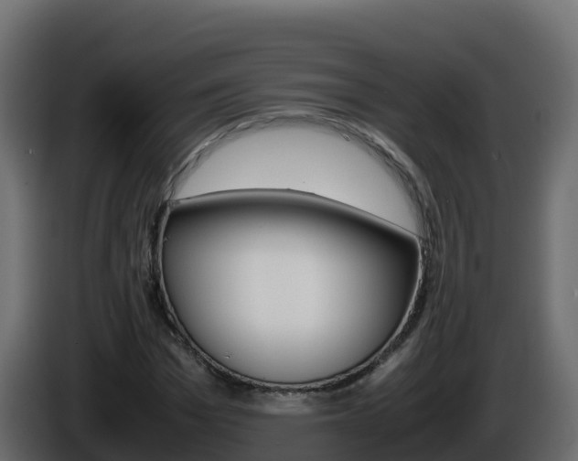 X0000086030969200703230951