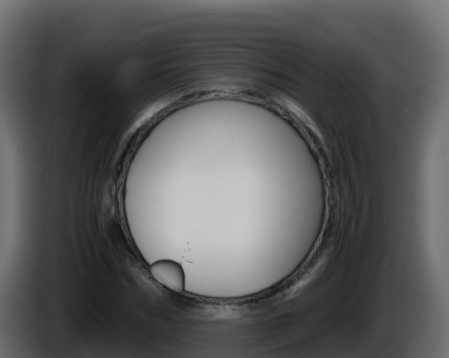 X0000086030970200703230951
