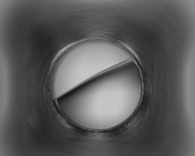 X0000086030971200703230951