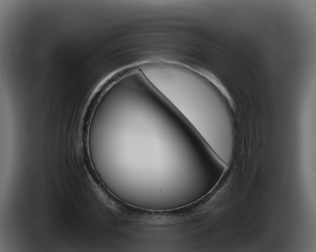 X0000086030972200703230951