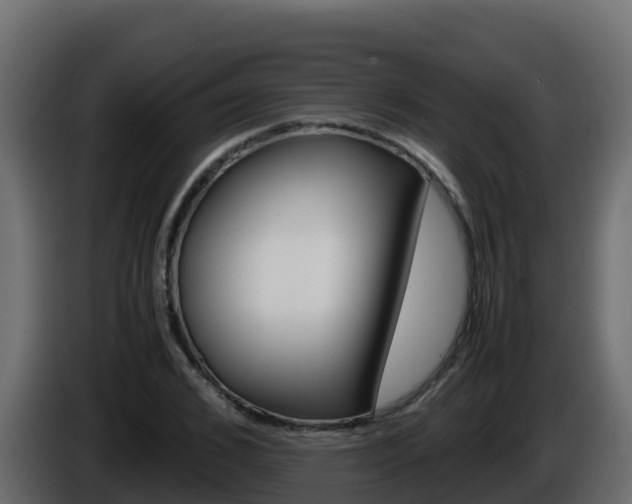 X0000086030976200703230951