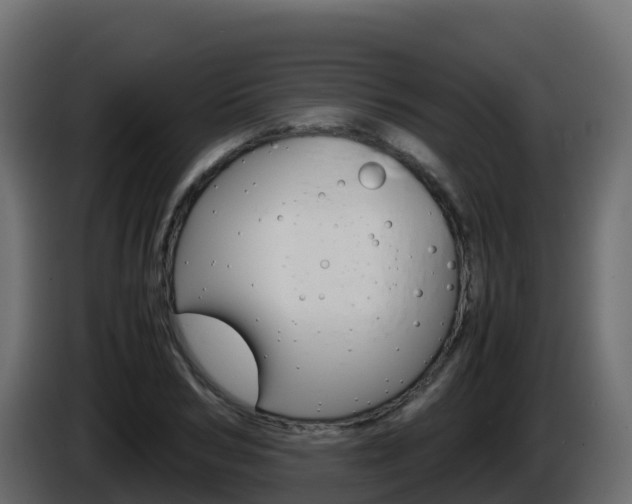 X0000086030978200703230951