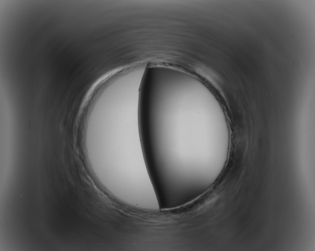 X0000086030979200703230951