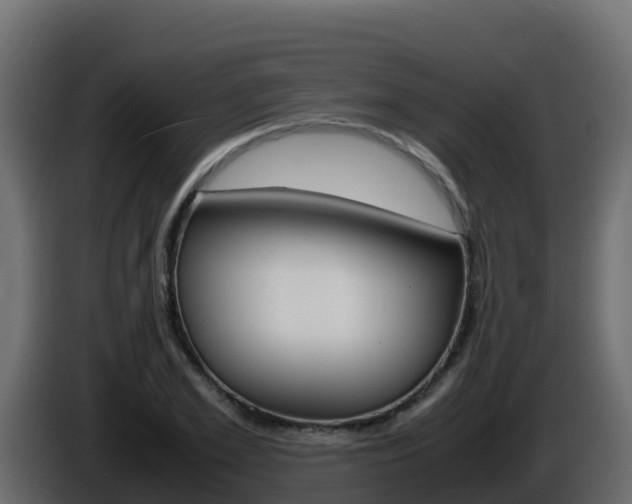 X0000086030981200703230951